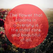 Arguably the most memorable quote from mulan. Mulan Quote The Flower That Blooms In Adversity Is The Most Rare And Beautiful Of All Love Me Quotes Inspirational Words Quotes