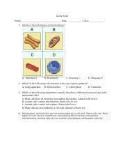 Maybe you would like to learn more about one of these? Cell Structure Gizmo Explorelearning Pdf Assessment Questions Print Page Questions Answers 1 Which Of The Following Is A Mitochondrion A Structure A Course Hero
