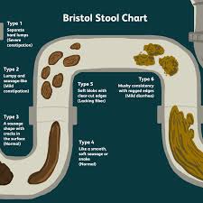 A table is a versatile piece of furniture, often multitasking as dining, working, studying, gaming, and living area. An Overview Of The Bristol Stool Chart