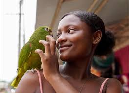 Profile for Ivan Andres Puentes Molina