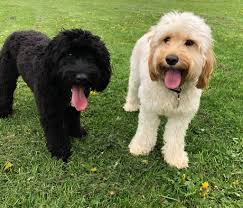 Can someone edit our photo?