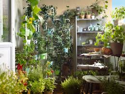 a gallery of outdoor furnishing inspiration urban garden urban gardening balcony plants