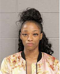 ᐅ Illinois Criminal Records 2009-2025