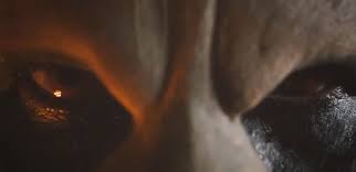 Check spelling or type a new query. Malaysia S Mamat Khalid Heads North For Werewolf Dari Bangladesh