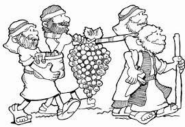 Download this free coloring page of the 12 spies looking into canaan for the first time. Pin On Bible Coloring Pages