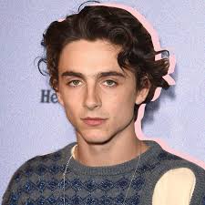 James plate. Tag @tchalamet if you think he needs this plate that sorta  looks like him #ceramicshare #amacounderglaze #ceramicschool #ceramics  #lagunaclay #ceramicshare #potteryforall