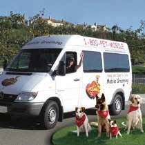 Provides mobile pet grooming services to pet owners to maintain and achieve their pets' well being. Aussie Pet Mobile Reviews Glassdoor