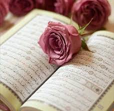 لن تذبل روحا يسقيها القرآن سورة الكهف نور ما بين الجمعتين يوم الجمعه مساء الخير سورة الكهف quran wallpaper quran book quran arabic