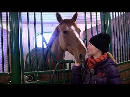 Maybe you would like to learn more about one of these? Stallet Malin Visar Sina Hastar We Love Horses Youtube