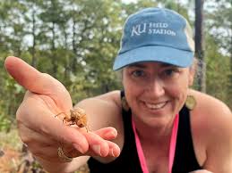 University of Kansas Field Station (@kufieldstation) · Instagram 照片和视频