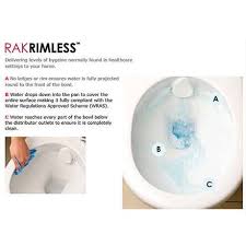 Rak Resort Wall Hung Rimless Pan Quick Release Soft Close Urea Seat Close Coupled Toilets Back To Wall Toilets Sophisticated Bathroom