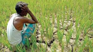Why you should put 20 down on a house. Why Did Modi Shoot Down Farm Loan Waivers Rediff Com Business
