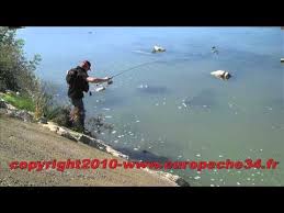 Youtube Poisson Nageur Leurre Peche