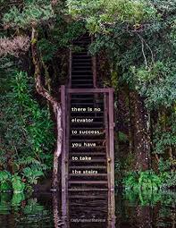 It usually takes time and often with failures first. There Is No Elevator To Success You Have To Take The Stairs Weekly Monthly Planner With Motivational Quotes Goal Trackers Beautiful Nature Tasmania Inspirational Quotes Books Travelopi Busuttil Shaun 9781731168542