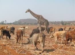 You will receive your score and answers at the end. Https Content Schoolinsites Com Api Documents 490fe5ced5f6481dbcaba68f431913ed Pdf