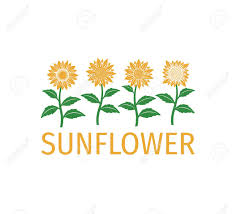 Check spelling or type a new query. Simple Sunflower Plant Line Up Vector Illustration Design Template Royalty Free Cliparts Vectors And Stock Illustration Image 142361207