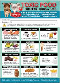 Remember to paste code when you check out. Amazon Com Enhanced Toxic Foods Trademarked Poison For Pets Dogs Cats Emergency Home Alone 5 X 7 Veterinarian Approved Refrigerator Safety Magnet Qty 1 From Tlc Kitchen Dining