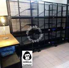 Assist in preparation of layout and draws preliminary sketch of project to client. Cat Boarding Hotel Kucing Seksyen 14 Petaling Jaya Pets Mudah My My Inkuiri Com