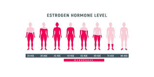 Image result for Sequential Estrogen Replacement