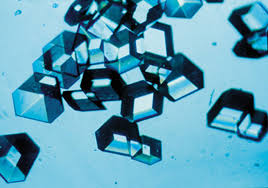 Biotechnology Wikipedia