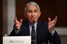 Fauci, cdc director robert redfield, adm brett giroir, and fda commissioner stephen hahn all gathered for a virtual senate hearing to discuss plans for getting the. White House Distances Itself From Trade Adviser S Criticism Of Dr Fauci Wsj