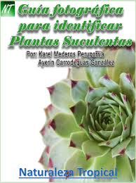 ⬇ descargue fotos de cactus suculento ✔ gran banco de imágenes de stock ▶ millones de fotos sin royalties de la mejor calidad a precios asequibles. Presentacion De Nuestro Catalogo Para Identificar Suculentas