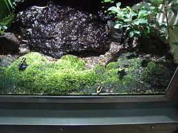 Vivarium Definition And Synonyms Of Vivarium In The French Dictionary