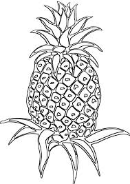 We did not find results for: Printable Pineapple Coloring Pages Pdf Coloringfolder Com Coloring Pages For Kids Vegetable Coloring Pages Coloring Pages For Teenagers