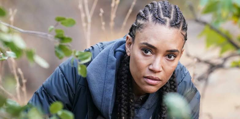 Why S.W.A.T Was Canceled After 8 Seasons Although Shemar Moore's Hondo  Spinoff Is Happening