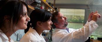 Emory Neuroscientist Larry Young Dedicated His Career to Understanding  Complex Social Behaviors