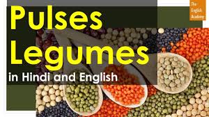 Milf, shiki, kannada, ಕನ್ನಡದಲ್ಲಿ ತವಾ ಅರ್ಥ. Pulses Names In English And Legumes In Hindi à¤¦ à¤² à¤• à¤¨ à¤® à¤«à¤² à¤¯ à¤• à¤¨ à¤® Youtube
