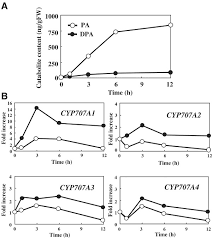 The Arabidopsis cytochrome P450 CYP707A encodes ABA 8′‐hydroxylases: key  enzymes in ABA catabolism