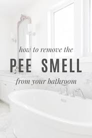 Scoop the water from the toilet with an old ladle and discard. 9 Ways To Get Rid Of Pee Smell Parenting
