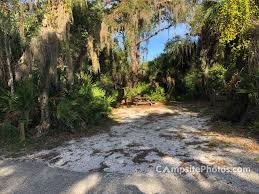 Maybe you would like to learn more about one of these? Oscar Scherer State Park Campsite Photos Availability Alerts