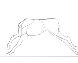 Wolf Running Cycle Tumblr Animation Sketches Animation Art Animated Drawings