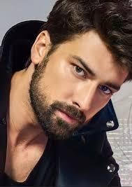 The Hathaways Series Fan Casting