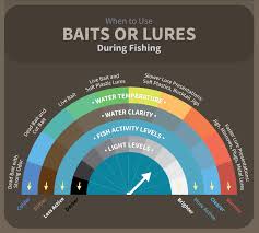 Bait Fishing Versus Lure Fishing Fix Com