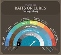 bait fishing versus lure fishing fix com