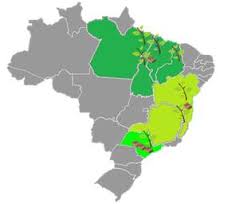 20 f 1 a19 5355 120f htm 20 f table of contents united states securities and exchange commission washington d c 20549 form 20 f x annual report pursuant to section 13 or 15 d of the securities exchange