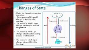 Science form 1 chapter 2. Chapter 7 Science Form 1 Experiment