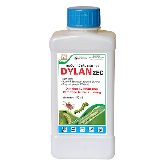 Dylan 2EC
