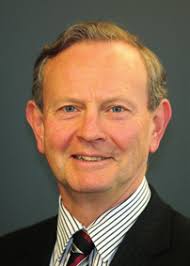 Insurance Council Review 2013