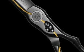 Image result for Cuviera semseii