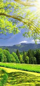 Nature 4k pc full hd. Vivo Y81 Wallpapers