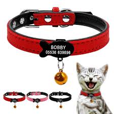 Bird Safe Cat Collar Australia 