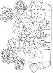 Zahar la flori in ghiveci. Planse De Colorat Cu Flori Desene De Colorat Cu Flori Flori De Colorat