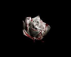 I felt like the story had a lot of promise and the. Pin On It S Blacula Bitch Wip Set In High School Vampires Reincarnation True Love And Blood