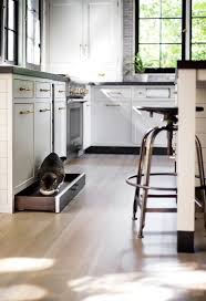A Black Toe Kick Drawer Accented With An Oil Rubbed Bronze Pull Is Fitted With A Pet Food Bowl And Positione Black Kitchens Toe Kick Drawer New Kitchen Designs