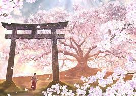 The kogane no sakura temple is a temple for only nekos, inus and kitsunes. Red Torri Gate Illustration Anime Noragami Brown Hair Cherry Blossom Hd Wallpaper Wallpaperbetter