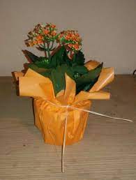 Dein blumentopf geschenk für hebamme, lehrer und erzieher hoch die tassen dieser liebevoll gestaltete blumentopf trägt die aufschrift : Blumige Rettung In Letzter Sekunde Blumengeschenke Blumen Geschenk Topfblumen
